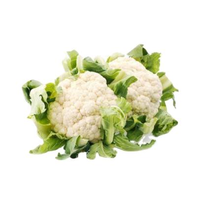 China Fresh New Crop Wholesale Fresh Green Cauliflower High Quality White Cauliflower for sale