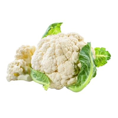 China Healty Large Green Fresh High Quality White Cauliflower Leafy Greens Delicious Cauliflower for sale