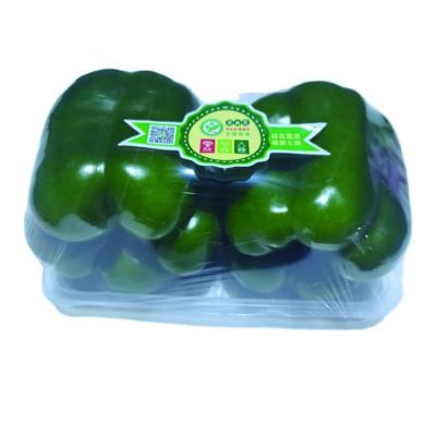 China 2020 New Cultivation China Fresh Healthy Vegetable Green Pepper Spicy Fresh Bell Green Tray COMMON for sale