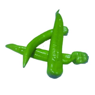 China Healthy fresh green pepper, green, unpolluted fresh pepper for sale