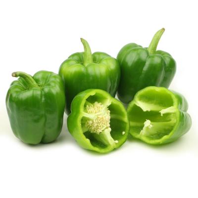 China color peppers/fresh fresh paprika/red paprika green color for sale