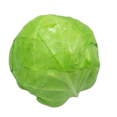 China This is good high quality fresh cabbage around Beijing green cabbage farm delicious cabbage for sale