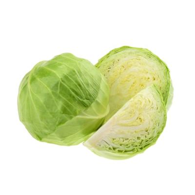 China It is good china famer factory round common cabbage big health delicious cabbage for sale