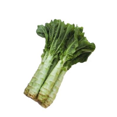 China Wholesale20201Healthy Fresh Fresh Leaf Lettuce Asparagus Lettuce for sale