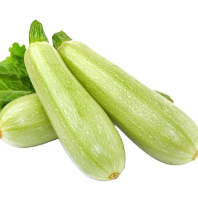 China FROZEN bulk peeled green vegetable fresh frozen zucchini for sale for sale