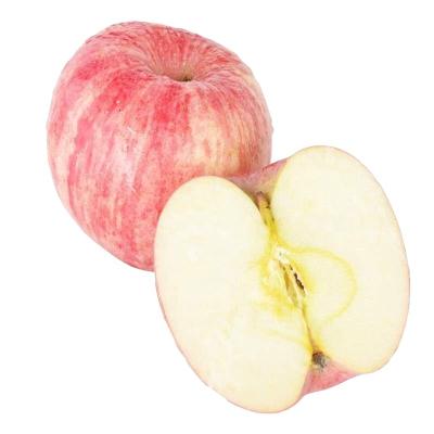 China 2021 New China Quality Wholesale Fresh Fruit Fuji Red Apples Cultivated for sale