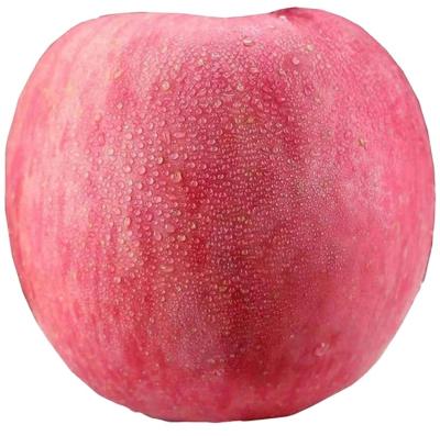 China 2020 China New Wholesale Fresh Grown Fresh Fruit Fuji Red Apples for sale