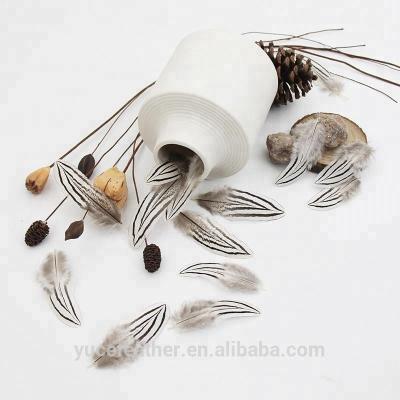 China Wholesale Quality Natural Small Silver Pheasant Edge Feather Size 2.4-4.8inch (6-12cm) For Crafts for sale