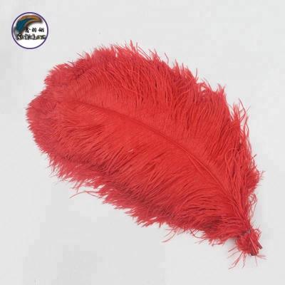 China Decoration 20-22 inch (50-55 cm) high quality multicolor smooth fluffy natural ostrich feather for carnival costumes and wings for sale