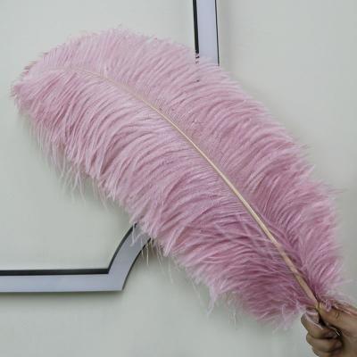 China Decoration 24-26 inch (60-65 cm) High Quality Multicolor Smooth Fluffy Natural Ostrich Feather for Room Decoration and Costumes for sale