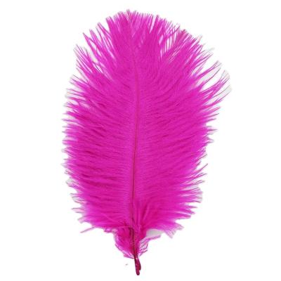 China Decoration 8-10 inch (20-25 cm) high quality multicolor smooth fluffy natural ostrich feather for pen and headdress for sale