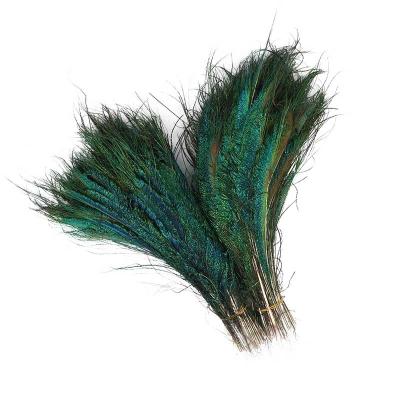 China Decoration 12-16 inch (30-40 cm) Hot-selling High Quality Gorgeous Natural Peacock Sword Feather for sale