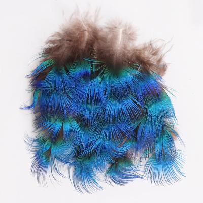 China DIY jewelry small natural blue peacock feather size of 1-2.8 inch (2.5-7 cm) which can be used for DIY jewelry for sale