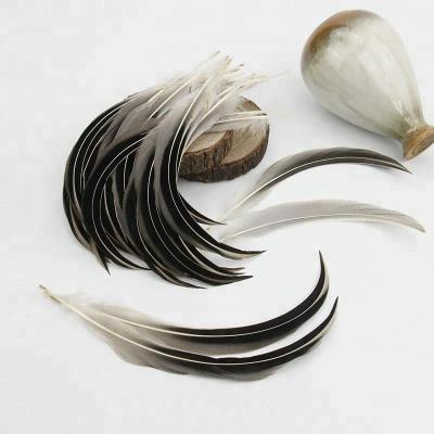 China Wholesale Large Size Curved Dark Color Natural Duck Feather Decoration 6-8 Inch (15-20 cm) for sale