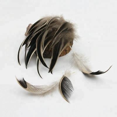 China Wholesale Decoration 4-6 inch (10-15 cm) Medium Size Curved Black Dark Color Natural Duck Feather for sale