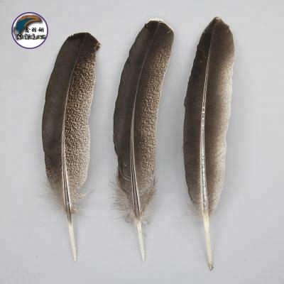 China Chinese Manufacturer Wholesale Best Selling Jewelry DIY 10-12 Inch (25-30 cm) Feather Natural Dark Color Turkey Wing Feathers For Decoration for sale