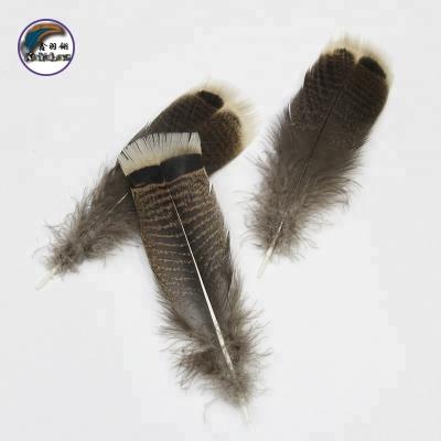 China Wholesale Best Selling Jewelry DIY 6-8 Inch (15-20 cm) Chinese Top Manufacturer Feather Natural Turkey Tail Feathers For Decoration for sale