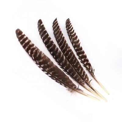 China Wholesale High Quality Natural Patterned Archery Wings Feathers Jewelry DIY 32-37CM Turkey for sale