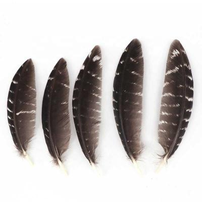 China Wholesale 8-15CM High Quality Natural Patterned Feather Turkey DIY Jewelry 50pcs Wings Feathers For Decoration Accessories for sale