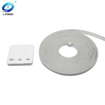 China 28 kinds High Quality Wireless Switch Control LED Strip 12V 24V Blue Light 3535 SMD96PCS/M Rainproof LED NEON LIGHT for sale