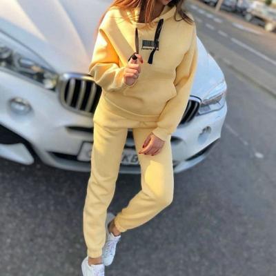 China Anti-pilling Tracksuit Unisex 2 Piece Sports Tracksuit Plain Set Jogging Sweatsuit Cotton Sweat Suit Men Women Sportswear for sale