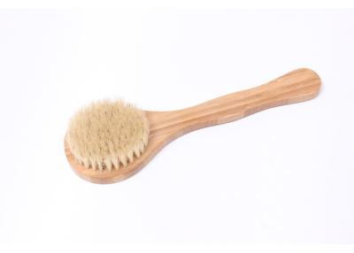 China Biodegradable Long Handled Body Scrub Brush For Dry Brushing , Silk Screen Logo for sale