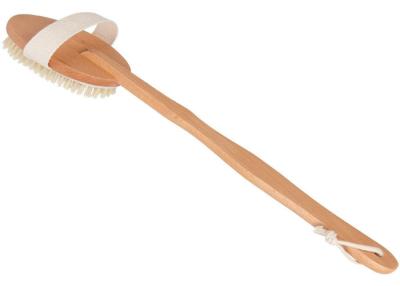 China Natural Long Handled Body Brush For Exfoliating / Reduce Cellulite for sale