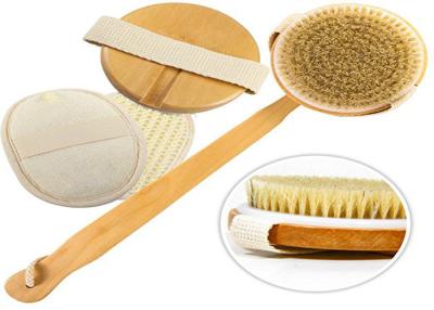 China La cerda natural Exfoliating desmontable del cuerpo friega el cepillo Eco durable amistoso en venta