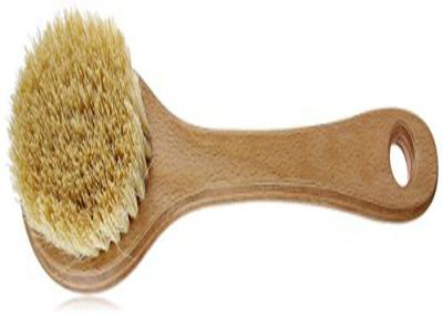 China Cactus Natural Bristle Dry Body Brush , Handmade Body Shop Dry Brush for sale