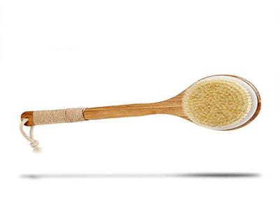 China Natural Boar Bristle Body Brush Massager With Long Handle , 13.6 X 3.6 X 2.3 Inches for sale