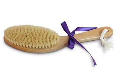 China 100% Natural Bristle Skin Brush For Back Scrubbing / Leg Brushing for sale