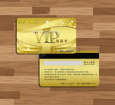 China Plastic Cards with Magnetic Strip(Hico/Loco) for sale