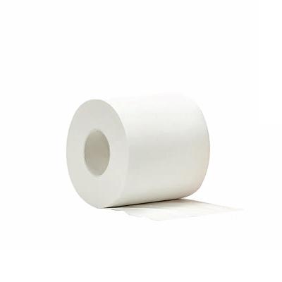 China Eco-friendly 3 ply recyle biodegradable toilet paper tissue paper with core for sale