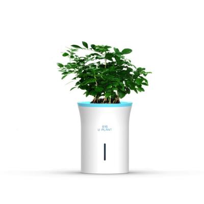 China Modern Automatic watering flowerpot data monitoring smart plant planting flowerpot for sale