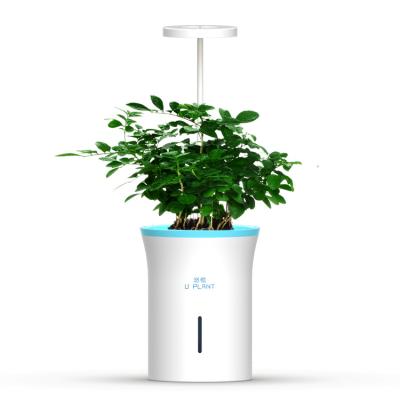 China Modern Intelligent self water absorption LED timing switch plant growth lamp flowerpot for sale