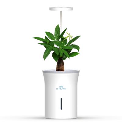 China Modern With LED timing switch plant growth lamp self absorbent soil culture hydroponics planter pot for sale