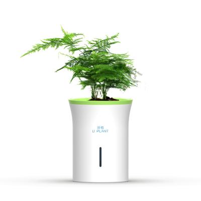 China Modern New family office hotel plant growing pot Intelligent planting flower pot for sale