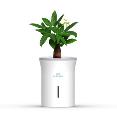 China Modern Home office hotel plant growing POTS Smart growing POTS for sale