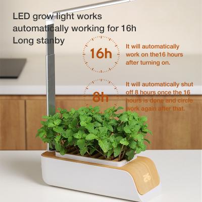 China Modern Soilless hydroponic planter for smart home garden for sale