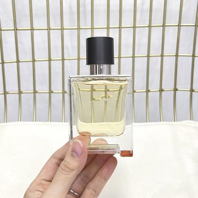 China Nice Scents 100ml TERRE perfume eau de toilitte 1 1 Top Quality In Box for men In Box gift for sale