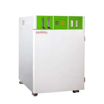 China Medicine Curing Price DW-WJ CO2 Incubator Bacteriological Incubator Thermoregulator for sale