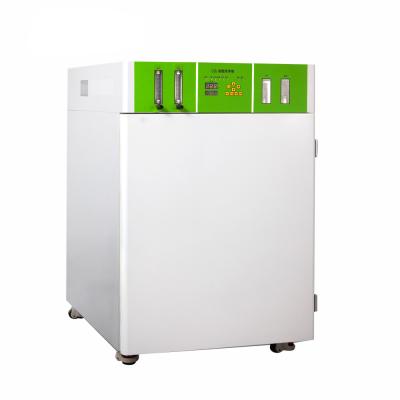 China Medicine Curing DW-WJ Series CO2 Incubator Mushroom Incubator Price China for sale