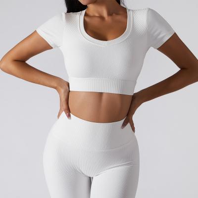 China Breathable Two Piece Workout Short Sleeve Set 2022 New Women Fitness Apparel GYM Workout Set Wholesale Fitness Wear GYM Yoga Set yoga for sale