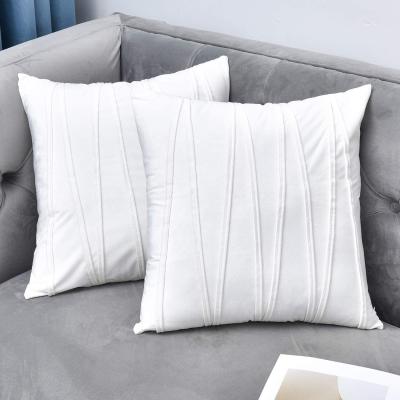 China Modern Style Fashion Anti Dust Mites Amazon INS Amazon Velvet Bedding Pillowcase Velvet Bedside Car Cushion Cover for sale