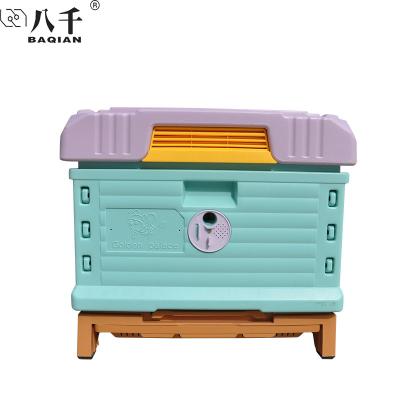 China Easily Assembled Plastic 1 Layer Insulation Hive 10 Frames Beehive Langstroth Hive Bee Feeder Garden Yard Farm Beekeeping Supply for sale