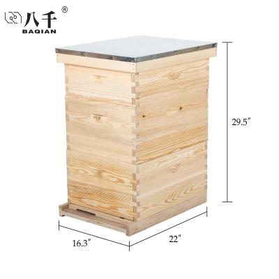 China Farms OEM factory beekeeping tools hive wooden boxes deep frame australian unassmbled 3 layers langstroth bee hive for sale