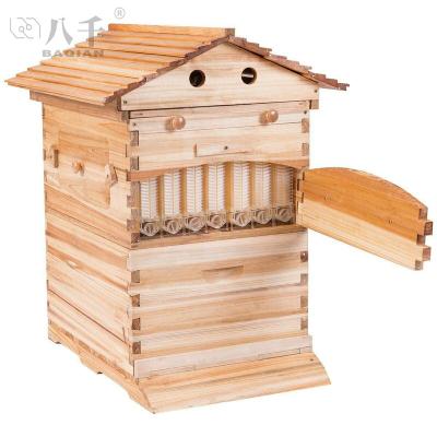 China Unmounted Automatic Beekeeping Beekeeping Tools Wax-Coated Automatic Hive Bee Flow Farms Factory Self Flow Hive For Bees for sale