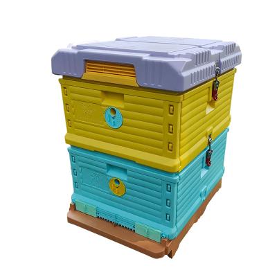 China Langstroth Sight Australian Unmounted Langstroth Beehive 10 Frame Beekeeping Equipment Tool Double Layers Deep Hive Plastic Box for sale