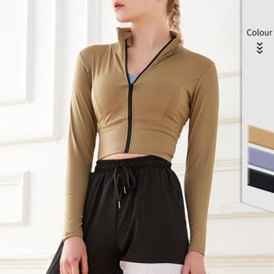 China Other Winter Women Sports Jackets Solid Color Crop Top Yoga Jackets Stand Collar Zipper Womens Workout Jackets for sale