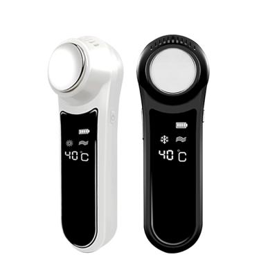 China Face Personal Health And Skin Care Home Use Face Beauty Instrument for sale